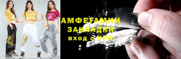 шишки Богородицк