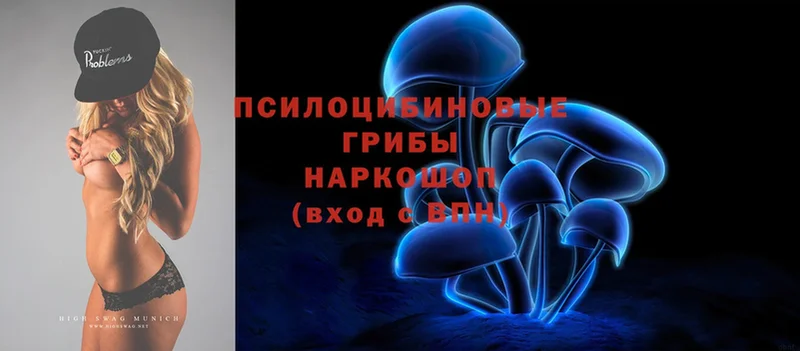 хочу   Заволжье  Галлюциногенные грибы Psilocybine cubensis 